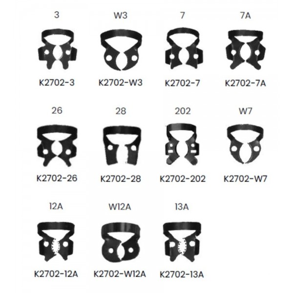 Clema diga neagra, Black coated, Molar inferior